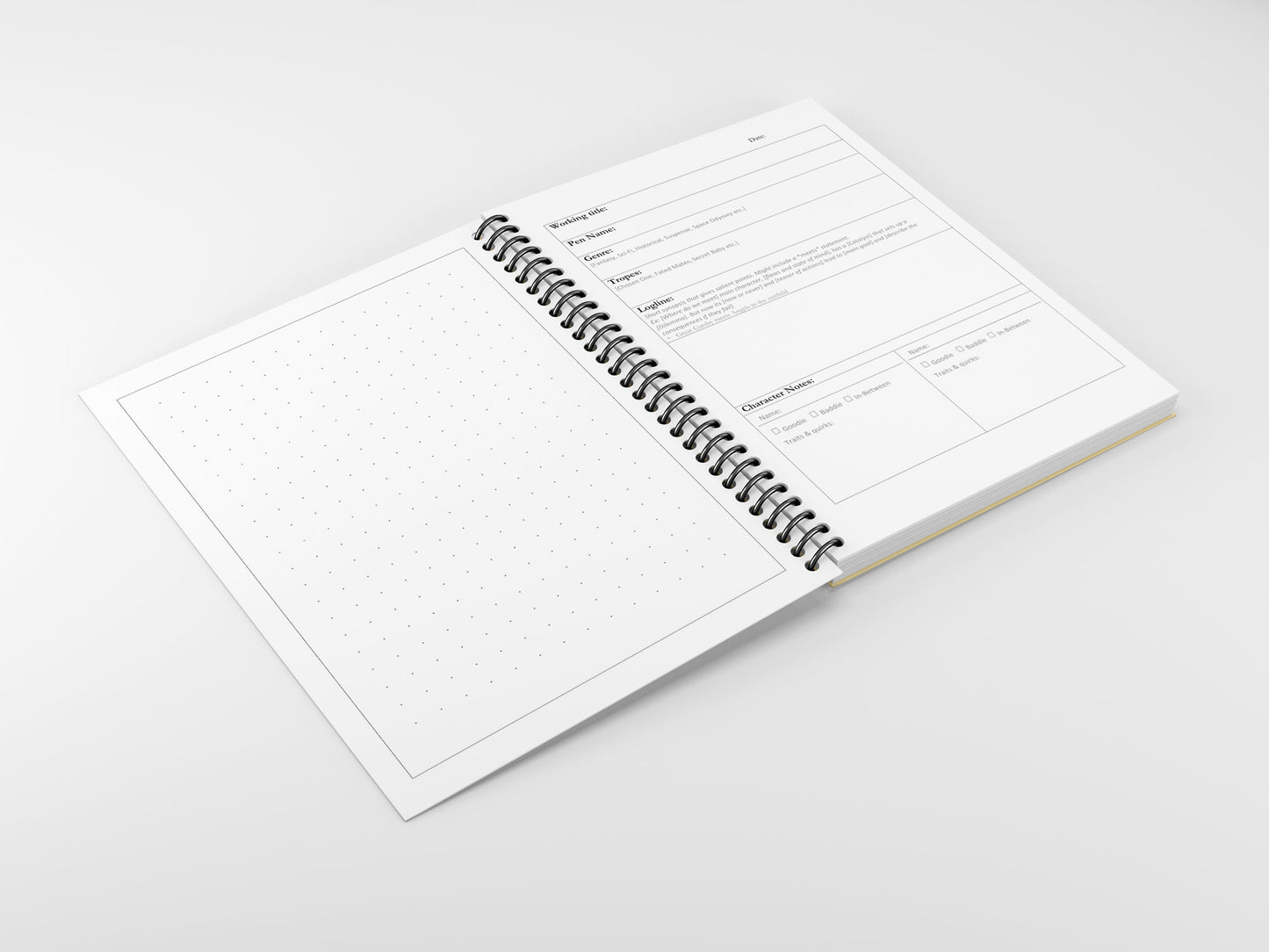 Writer's Notebook